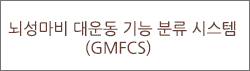    з ý (GMFCS)